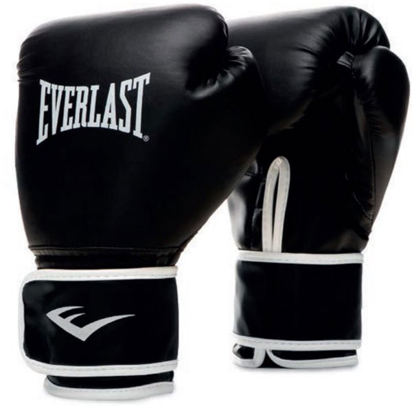 Boxerské rukavice EVERLAST Core 2 Gloves