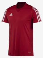 Adidas pánské krátké tričko Team T12