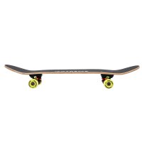 Skateboard NILS Extreme CR3108SA Brain