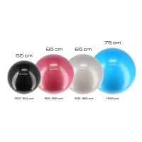 Gymnastický míč HMS YB01N 65 cm šedý