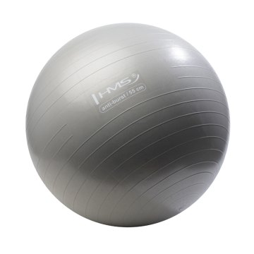 Gymnastický míč HMS YB02N 55 cm šedý