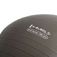Gymnastický míč HMS YB02N 65 cm bronzový