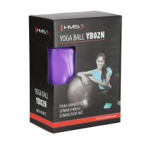 Gymnastický míč HMS YB02N 65 cm fialový