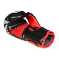 Boxerské rukavice DBX BUSHIDO ARB407v2 6 oz.