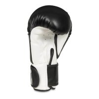Boxerské rukavice DBX BUSHIDO ARB-407a