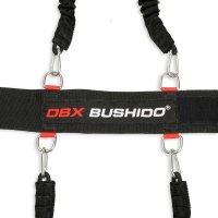 Striker DBX BUSHIDO P4