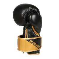 Boxerské rukavice DBX BUSHIDO B-2v10