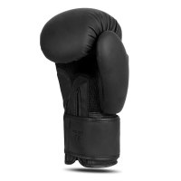 Boxerské rukavice DBX BUSHIDO B-2v21